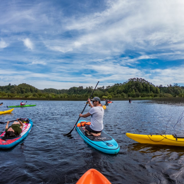 Kayak & SUP medio día  Puerto Varas – La Poza